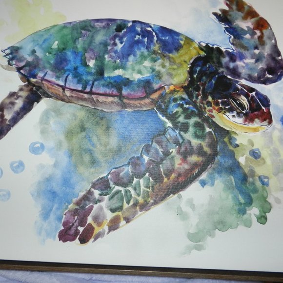 American Flat Sea Turtle Canvas Painting in Wood Frame Local Artist NEW/NWT! - Picture 3 of 10